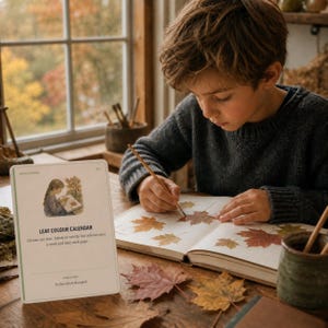 May include: A rectangular white card titled Leaf Colour Calendar with an illustration of a child holding a leaf, featuring instructions to choose a tree, match leaf colors, and date each page, alongside a book with hand-drawn leaf sketches.