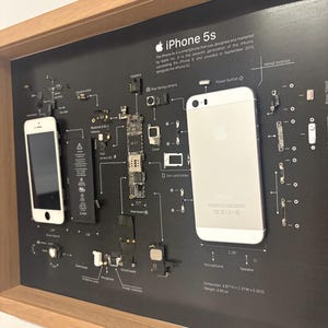 May include: A framed display featuring a disassembled iPhone 5s with its internal components laid out on a black background. The parts include the screen, battery, logic board, and rear casing, all labeled with text and lines indicating their function.