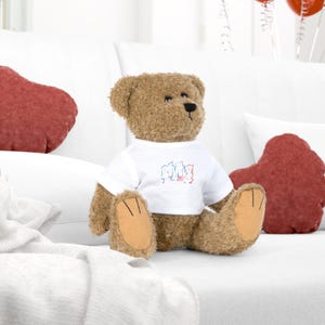 Può includere: Un orsacchiotto di peluche marrone che indossa una maglietta bianca con un disegno grafico rosso e blu sul petto. L'orso ha occhi scuri, un naso nero e inserti in tessuto color marrone chiaro sulle piante dei piedi, seduto in posizione eretta.