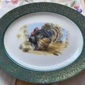 May include: A round ceramic dinner plate featuring a central illustration of a turkey in a natural landscape. The plate has a wide, textured dark green rim with an embossed scrollwork pattern along the outer edge and a smooth white centre.