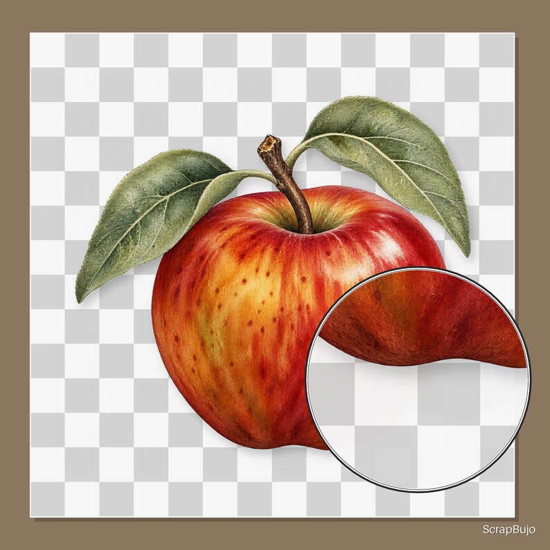 May include: A realistic illustration of a round apple with a gradient of red and yellow skin, featuring small brown speckles. The apple has a brown stem and two green leaves attached at the top. A circular magnifying glass overlay shows a detail.
