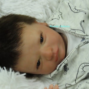Reborn Baby James Awake, Ready to Ship, Boy or Girl, Authentic, Reborn Baby Doll, Lifelike Baby Doll