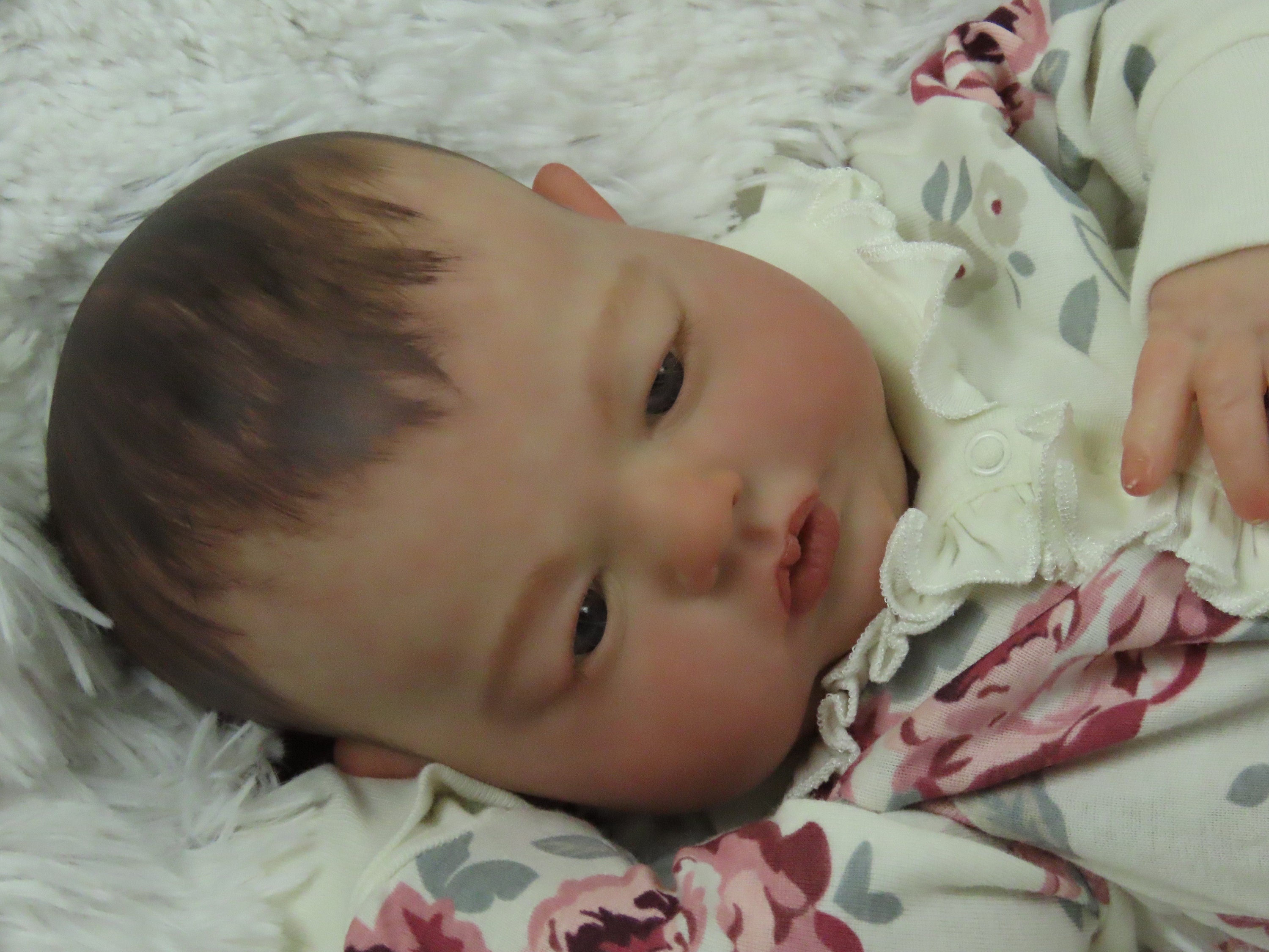 Reborn Kit Tessa - Etsy
