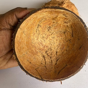May include: A hollowed-out coconut shell bowl with a dark brown exterior and a light tan, fibrous interior texture. The bowl is circular in shape, showing the natural organic grain and rough surface of the coconut husk, with a second shell visible behind it.