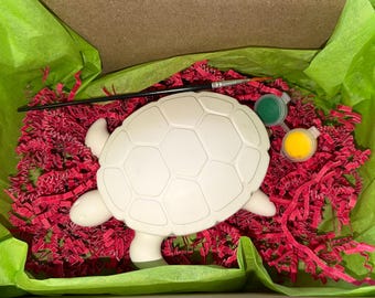 DIY paint turtle box