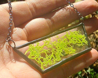 Natural real preserved moss lichen glass terrarium necklace, terrarium jewelry, wedding jewelry, nature jewelry, woodland jewelry, gift