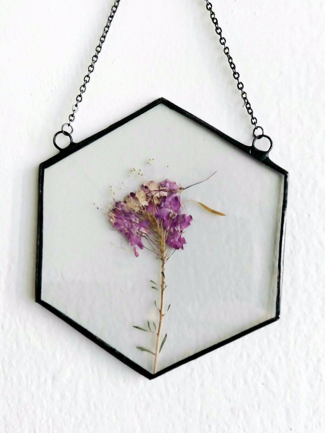 Pressed Flower Frame, Real Wildflowers Flowers, Glass Botanical Art