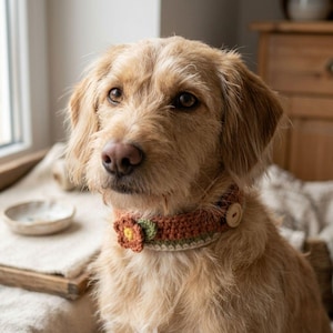 May include: A dog with light brown fur wearing a handmade crochet collar. The collar features a flower design in shades of brown, green, and cream, fastened with a wooden button. The dog is looking towards the camera.