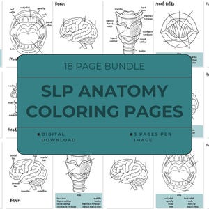 SLP Anatomy Coloring Pages, Speech Grad Student Coloring Book, Speech Pathology Labeled Anatomy Study Tools