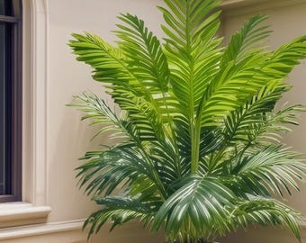 Artificial Palm Tree 50 Inch Indoor Outdoor Faux Plant Tropical Home Decor Large Fake Plant for Living Room Office Wedding