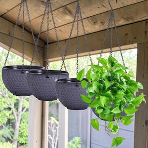 May include: A set of four dark grey hanging planters with a textured honeycomb pattern on the exterior. Each bowl-shaped planter is suspended by three thin metal chains that connect to a central hook, with one planter containing a green pothos plant.