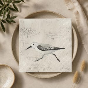 May include: A square paper napkin featuring a detailed illustration of a sandpiper bird in shades of gray and white. The bird is depicted in profile against a textured, off-white background with subtle sketch-like markings and a small signature.
