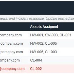 May include: A digital asset owner registry table with columns for ID, Full Name, Title/Role, Department, Email, Assets Assigned, Last Access Review, Status, and Notes. The table includes employee information and asset details.