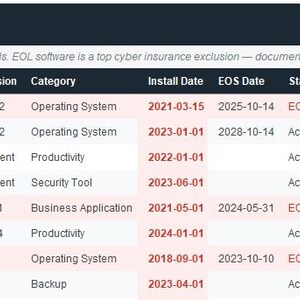 May include: A software asset inventory table with columns for ID, Application/Software, Vendor, Version, Category, Install Date, EOS Date, Status, License Type, and Notes. The table includes software like Windows 10 Pro and Microsoft 365 Business.
