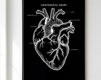 Anatomical Heart Print, Dark Medical Wall Art, Anatomy Illustration Poster, Dark Academia Decor, Doctor Gift