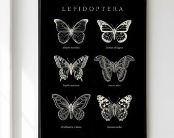 Butterfly Specimen Print, Dark Lepidoptera Wall Art, Victorian Entomology Poster, Dark Academia Decor, Nature Gift