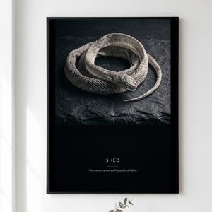May include: A framed wall art print featuring a coiled, textured gray snake skin on a dark, rugged stone surface. Below the image, the text reads SHED and the phrase You cannot grow and keep the old skin in a clean, white, sans-serif font.