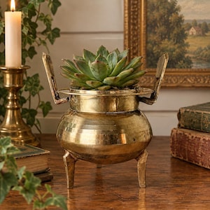 May include: A brass pot with a rounded body, three legs, and two side handles, containing a green succulent plant. The metallic vessel features a polished finish and a wide rim, standing as a decorative container for the plant.