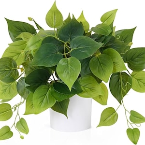 Plantas Pothos artificiales / Pequeñas plantas artificiales para decoración de interiores en maceta
