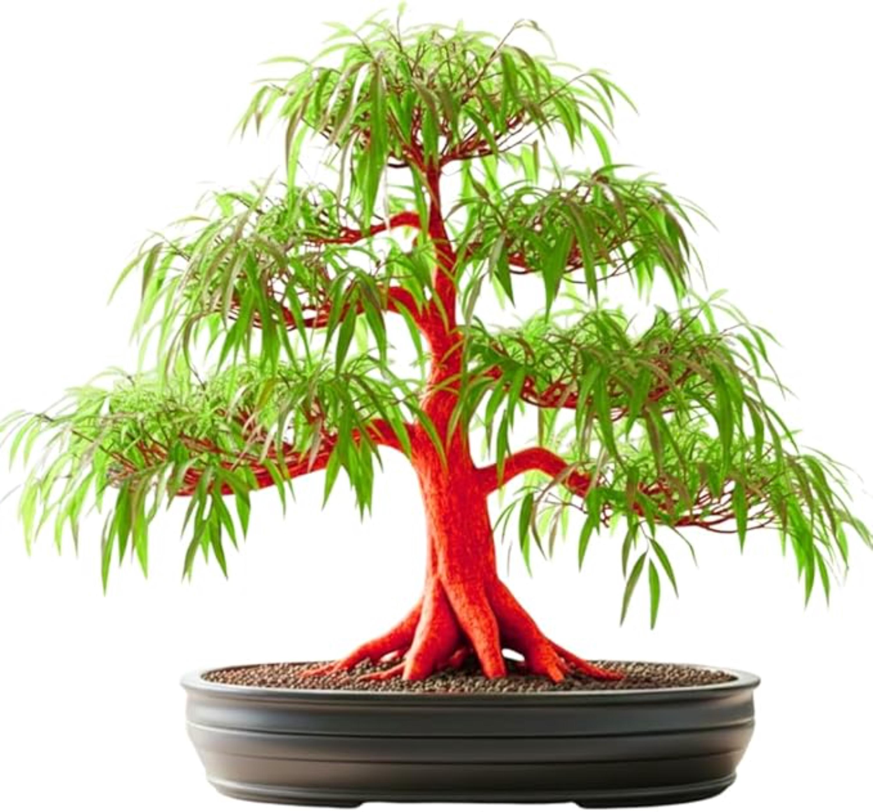 japanische bonsai scheren Scharfe Bonsai Schere aus Stahl