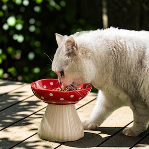 May include: A ceramic pet bowl shaped like a mushroom with a red cap featuring white polka dots and a cream-coloured stem base. The bowl is filled with dry brown kibble and is being used by a white cat to eat its food from the elevated dish.
