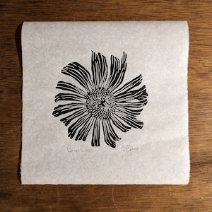 Black Coneflower original linocut print