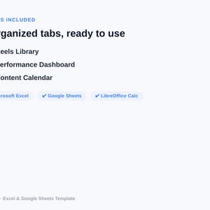 Strumento di monitoraggio delle prestazioni di Reels / Modello Excel per l'analisi dei contenuti dei creatori / Statistiche di Instagram e TikTok / Download digitale immagine 2