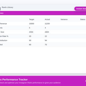 Strumento di monitoraggio delle prestazioni di Reels / Modello Excel per l'analisi dei contenuti dei creatori / Statistiche di Instagram e TikTok / Download digitale immagine 1