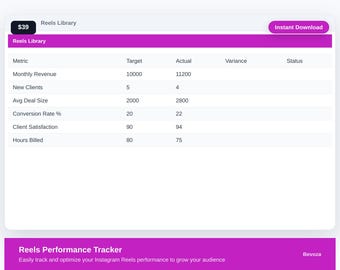 Reels Performance Tracker | Creator Content Analytics Excel Template | Instagram TikTok Stats | Digital Download