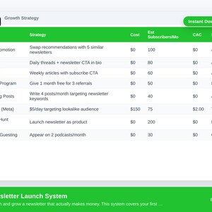 Newsletter Launch System Excel Template | Email Newsletter Planner | Subscriber Growth Tracker | Newsletter Strategy | Digital Download