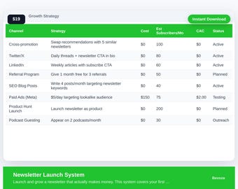 Newsletter Launch System Excel Template | Email Newsletter Planner | Subscriber Growth Tracker | Newsletter Strategy | Digital Download