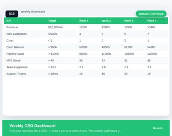 Weekly CEO Dashboard Excel Template | Solopreneur Business Review Spreadsheet | Weekly KPI Tracker | Founder Dashboard | Digital Download