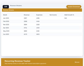 Recurring Revenue Tracker Excel Template | revenue tracker | Solopreneur Spreadsheet | Digital Download