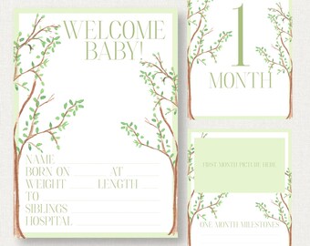 Baby Milestone Cards | Months 1-12, Welcome Baby (Digital Download)