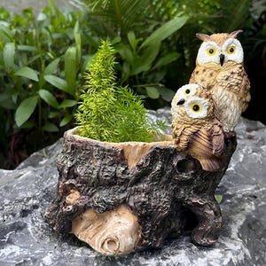 Op de afbeelding: Een decoratieve plantenbak in de vorm van een getextureerde bruine boomstronk met twee uilen aan de zijkant. De grotere uil staat rechtop met bruine en witte veren, terwijl een kleinere uil eronder zit. Een groene plant groeit uit het midden.