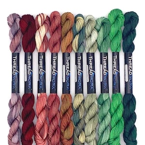ThreadworX Copper Oxide Collection - 10 Colors Variegated Embroidery Floss Bundle