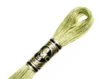 DMC 6-Strand Embroidery Floss 3348 Light Yellow Green