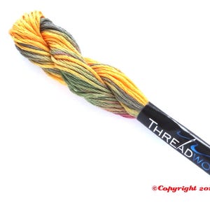 ThreadworX 1148 Variegated Embroidery Floss Romanian Forest