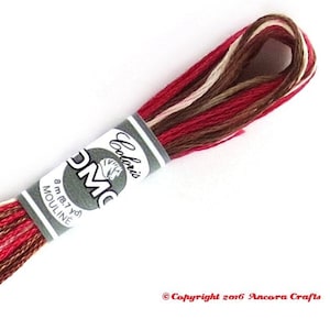 DMC 4516 Coloris Variegated Embroidery Floss Black Forest (Foret Noire)