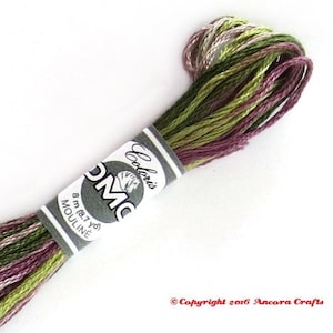 DMC 4505 Coloris Variegated Embroidery Floss Heather (Bruyere)