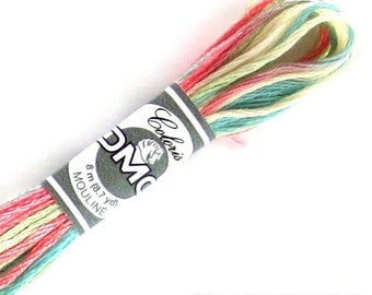 DMC 4501 Coloris Variegated Embroidery Floss Wildflowers (Fleurs de Champs)
