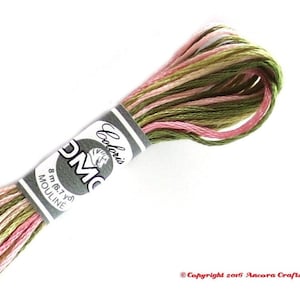 DMC 4500 Coloris Variegated Embroidery Floss Columbine Gardens (Ancolie des Jardins)