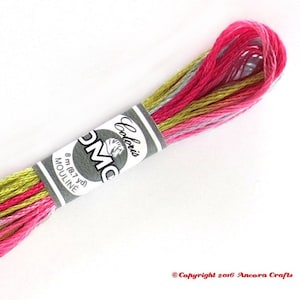 DMC 4502 Coloris Variegated Embroidery Floss Camelia