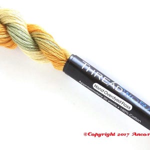 ThreadworX 11622 Variegated Embroidery Floss Butter Rum