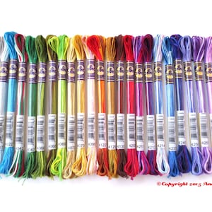 DMC Variegated Embroidery Floss - 24 Newer Color Collection Bundle