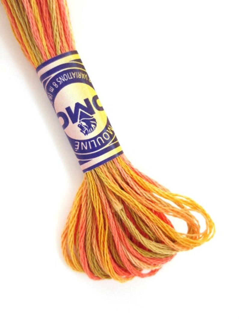 DMC 4126 Variegated Embroidery Floss Desert Canyon Etsy