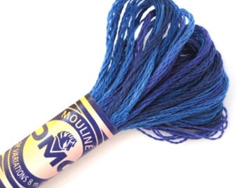 DMC 4240 Variegated Embroidery Floss Mid Summer Night