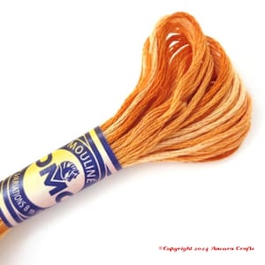DMC 4128 Variegated Embroidery Floss Gold Coast