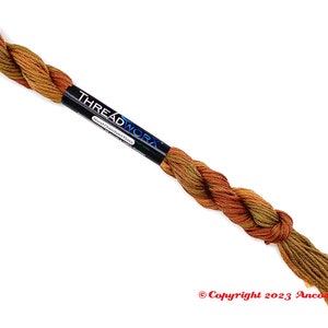 Threadworx 1043 Variegated Embroidery Floss Fantasy Island - Etsy
