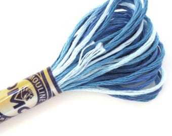 DMC 4237 Variegated Embroidery Floss Laguna Blue - Etsy